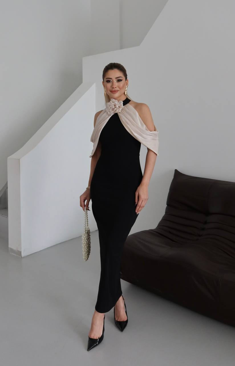 Verlyn women long dress