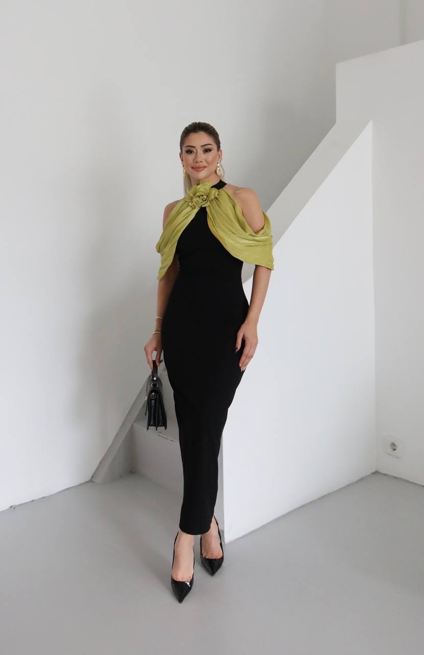 Verlyn women long dress