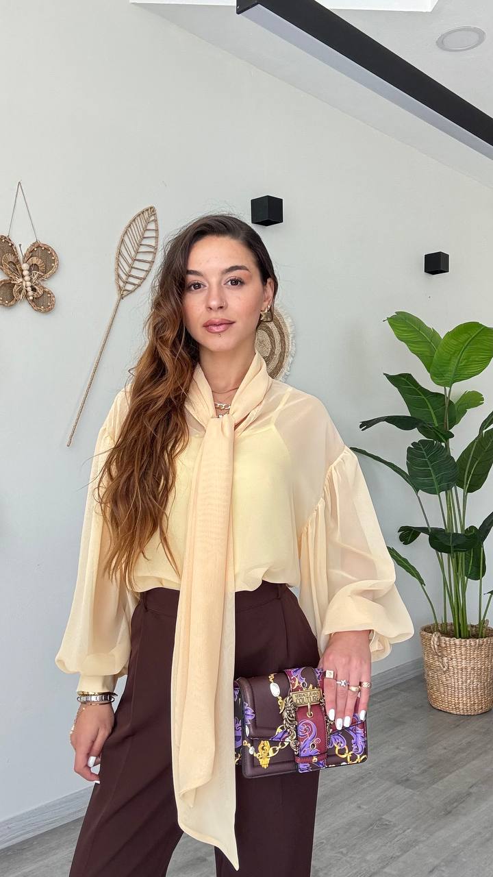 Viva classic women blouses