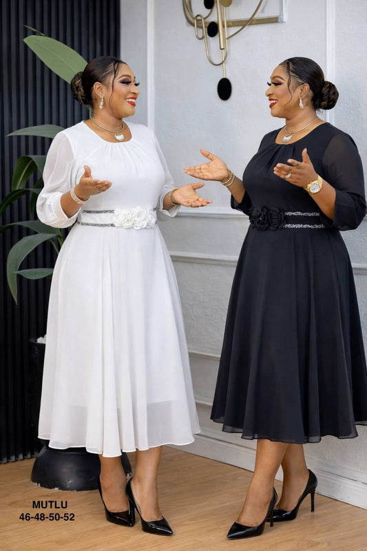 Bailey Women Classy Dresses